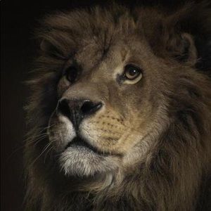 Meet your Posher, Lorraine